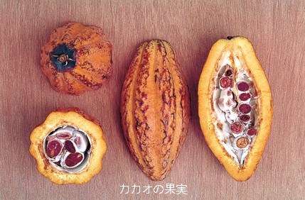 解説画像1