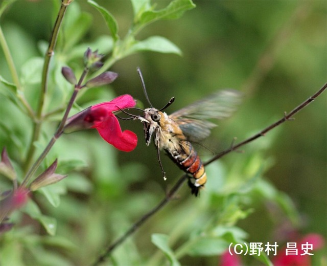問題画像1
