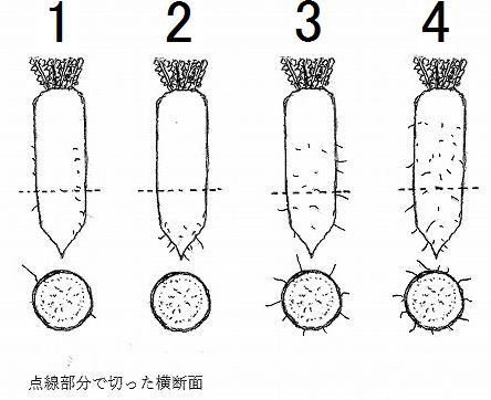 問題画像1