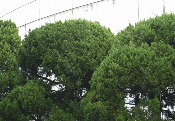 問題画像1