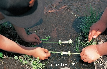 問題画像1