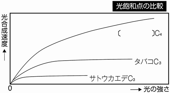 問題画像1