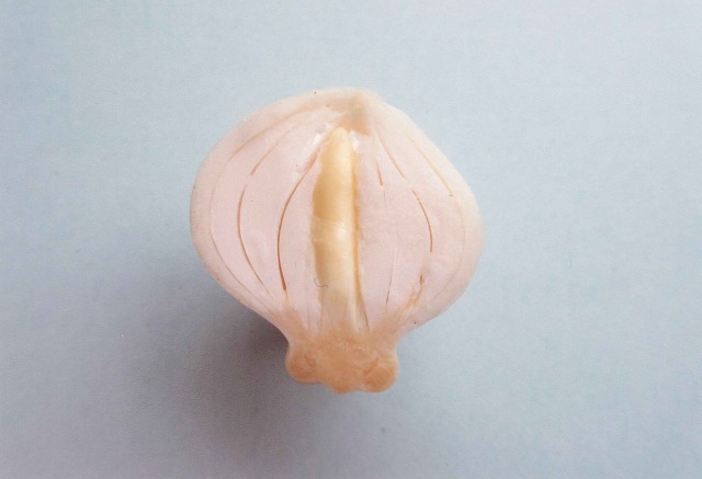 問題画像1
