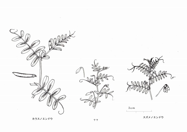問題画像1