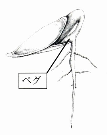 問題画像2