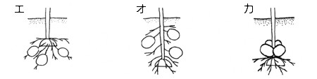 問題画像2